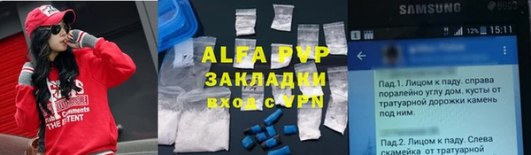 дмт Абаза