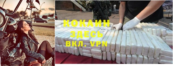 дмт Абаза