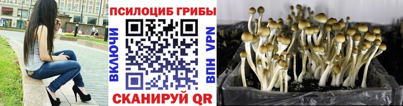 Псилоцибиновые грибы прущие грибы  Бобров 